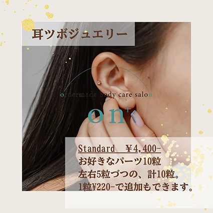耳ツボジュエリー/Standard
